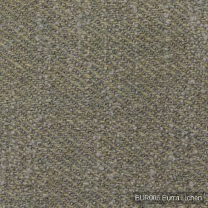 Bur006 burra lichen product detail