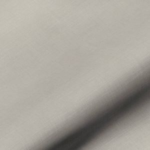 Artdownhamfossil l product detail