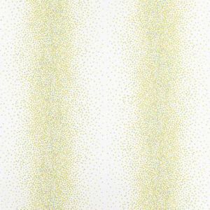 25557227 product detail