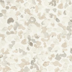 Caselio 66991000 product detail