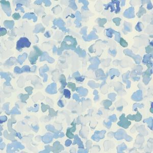 Caselio 66996062 product detail