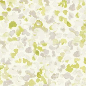 Caselio 66997010 product detail