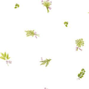 Caselio 64957070 product detail
