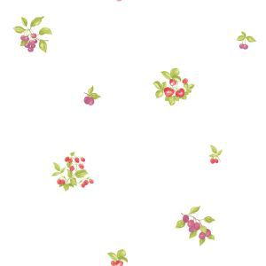 Caselio 64998075 product detail