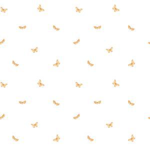 Caselio 65003003 product detail