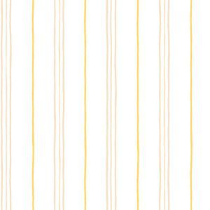 Caselio 65062001 product detail