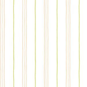 Caselio 65067078 product detail