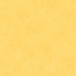 Caselio 65072169 product detail