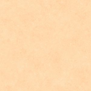 Caselio 65073030 product detail