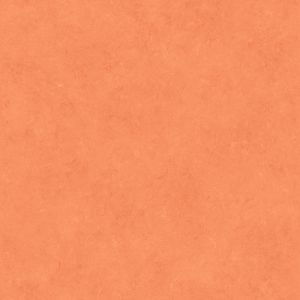 Caselio 65073155 product detail