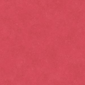 Caselio 65078088 product detail