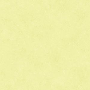 Caselio 65077004 product detail