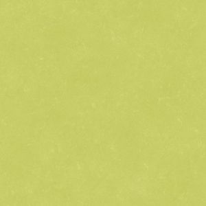 Caselio 65077142 product detail