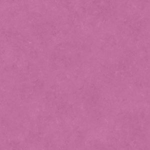 Caselio 65075000 product detail
