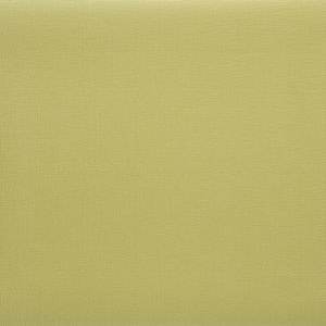 Caselio 60117053 product detail