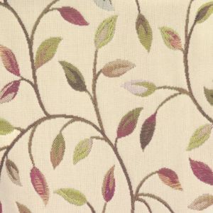 Cervino elderberry product detail