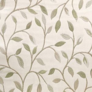 Cervino lichen product detail