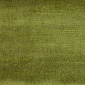 Chiaso kiwi product detail