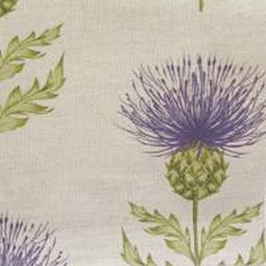 Voyblairjuniper m product detail