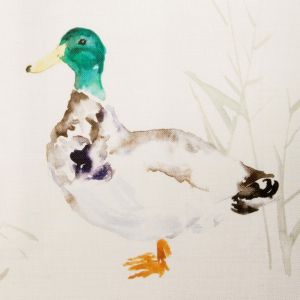 Paddling ducks cream 35m product detail