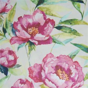 Earnley peony small product detail
