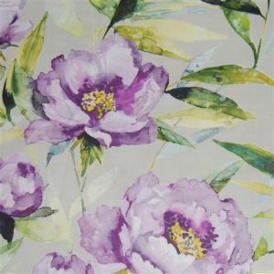 Earnley orchid small product detail