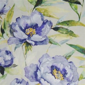 Earnley bluebell small product detail