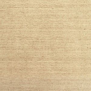 Zen 6 product detail