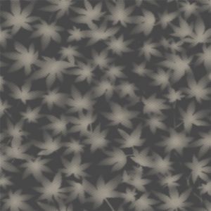 Sil402 product detail
