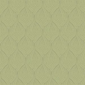 D que104 product detail