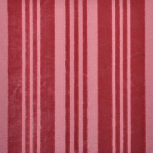 Amadeo 14 product detail