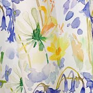 Bluebell woods product detail