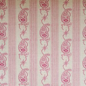 Angelique pink product detail