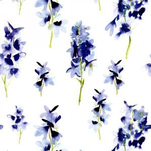 Delphinium product detail