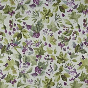 5700 270 appleby hollyhock product detail