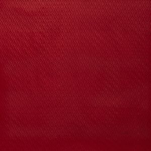 1797 311 asteroid scarlet product detail