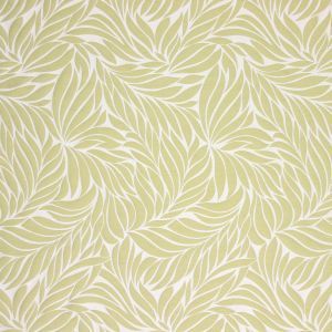 1319 637 ameera avocado product detail