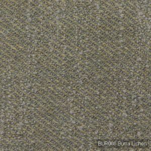 Bur006 burra lichen product detail