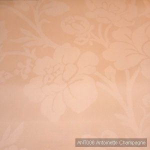 Ant006 antoinette champagne product detail