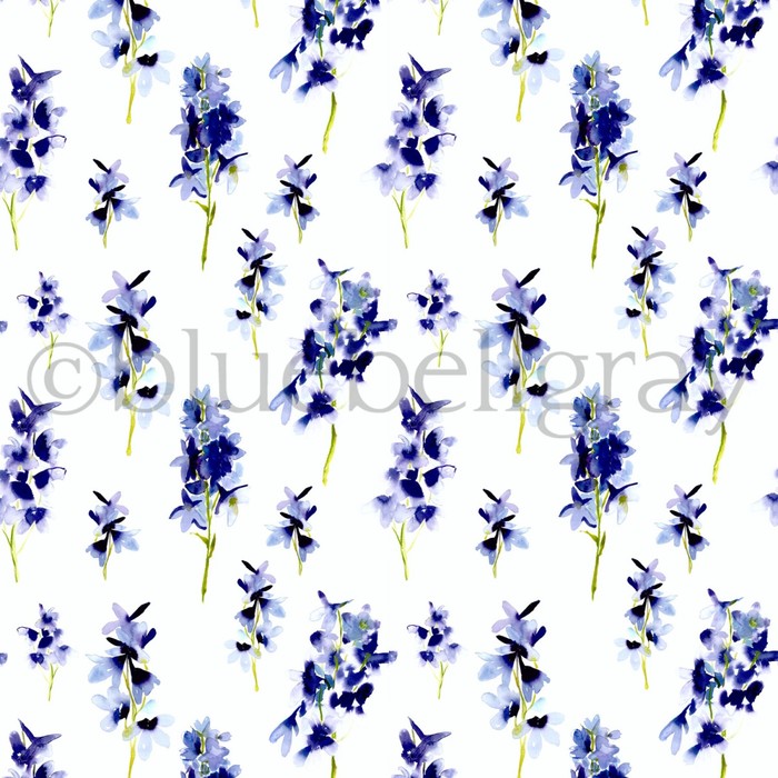 Bluebellgray delphinium 3 product detail