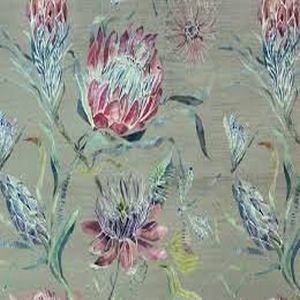 Moorehaven velvet grape product detail
