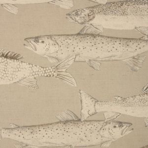 Aquarius sepia product detail