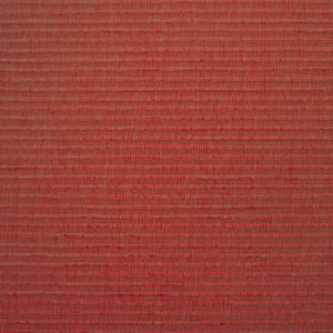 Linosa 303 squirrel product detail