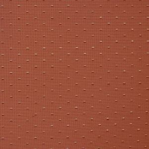 Capua 403 squirrel product detail