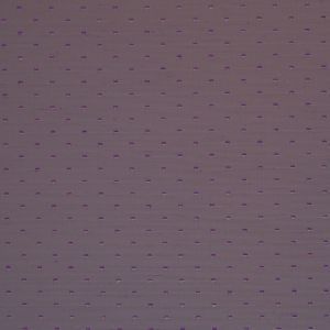 Capua 404 grape product detail