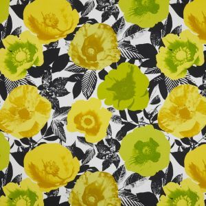 5826 408 madone citrus product detail
