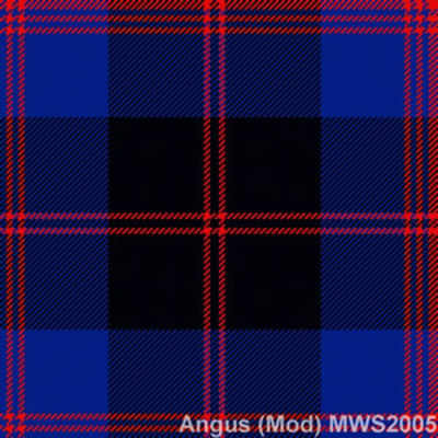 Angus mod mws2005 product detail