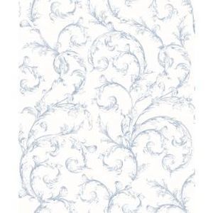 81536204 product detail