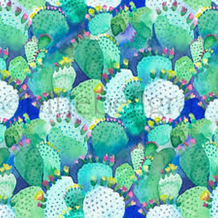 Cactus product detail