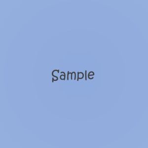 Sample product detail